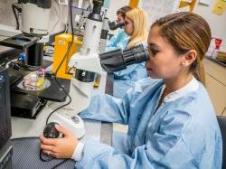 Photo of student using a stereo microscope.